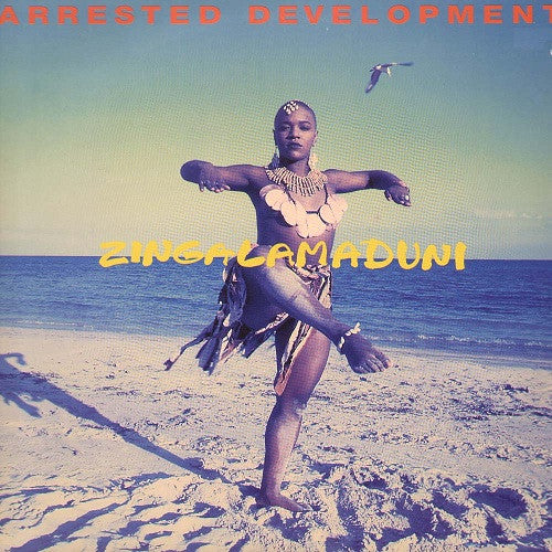 Arrested Development - Zingalamaduni (CD)