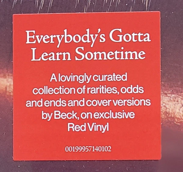 Beck - Everybody's Gotta Learn Sometime (Vinyl) - Image 3