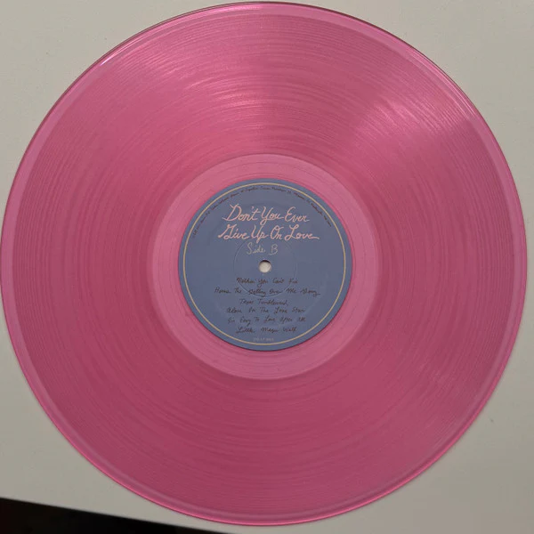 Brennen Leigh - Don't You Ever Give Up On Love (Vinyl) - Image 3