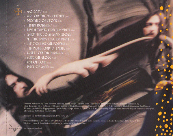 Chris Robinson  - This Magnificent Distance (CD) - Image 2