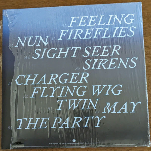 Devendra Banhart - Flying Wig (Vinyl) - Image 2