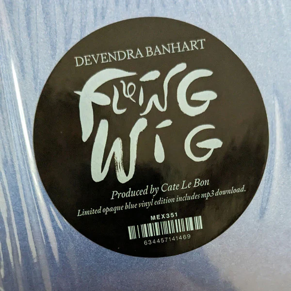 Devendra Banhart - Flying Wig (Vinyl) - Image 3