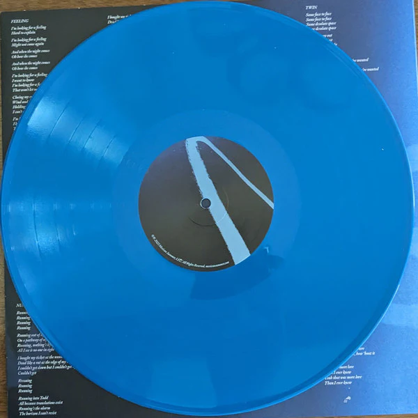 Devendra Banhart - Flying Wig (Vinyl) - Image 4