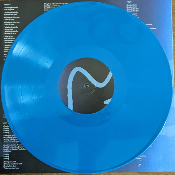 Devendra Banhart - Flying Wig (Vinyl) - Image 5