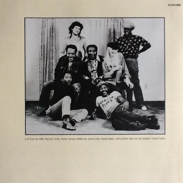 Muddy Waters - Hard Again (CD) - Image 3
