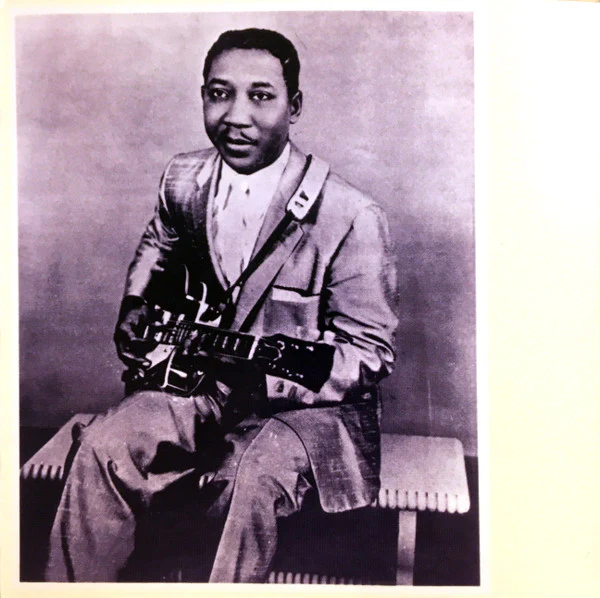 Muddy Waters - The Best Of Muddy Waters (CD) - Image 5