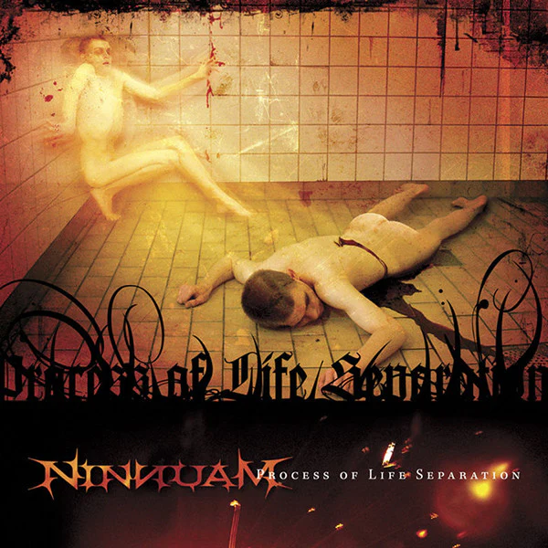 Ninnuam  - Process Of Life Separation (CD)