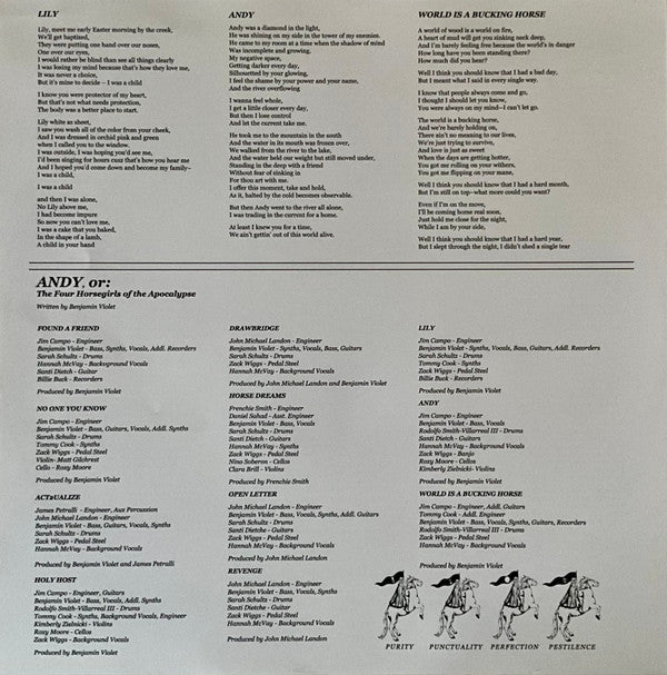 Pelvis Wrestley - Andy, Or: The Four Horsegirls Of The Apocalypse (Vinyl) - Image 4