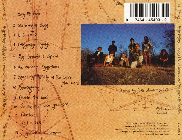 Poi Dog Pondering - Wishing Like A Mountain And Thinking Like The Sea (CD) - Image 2