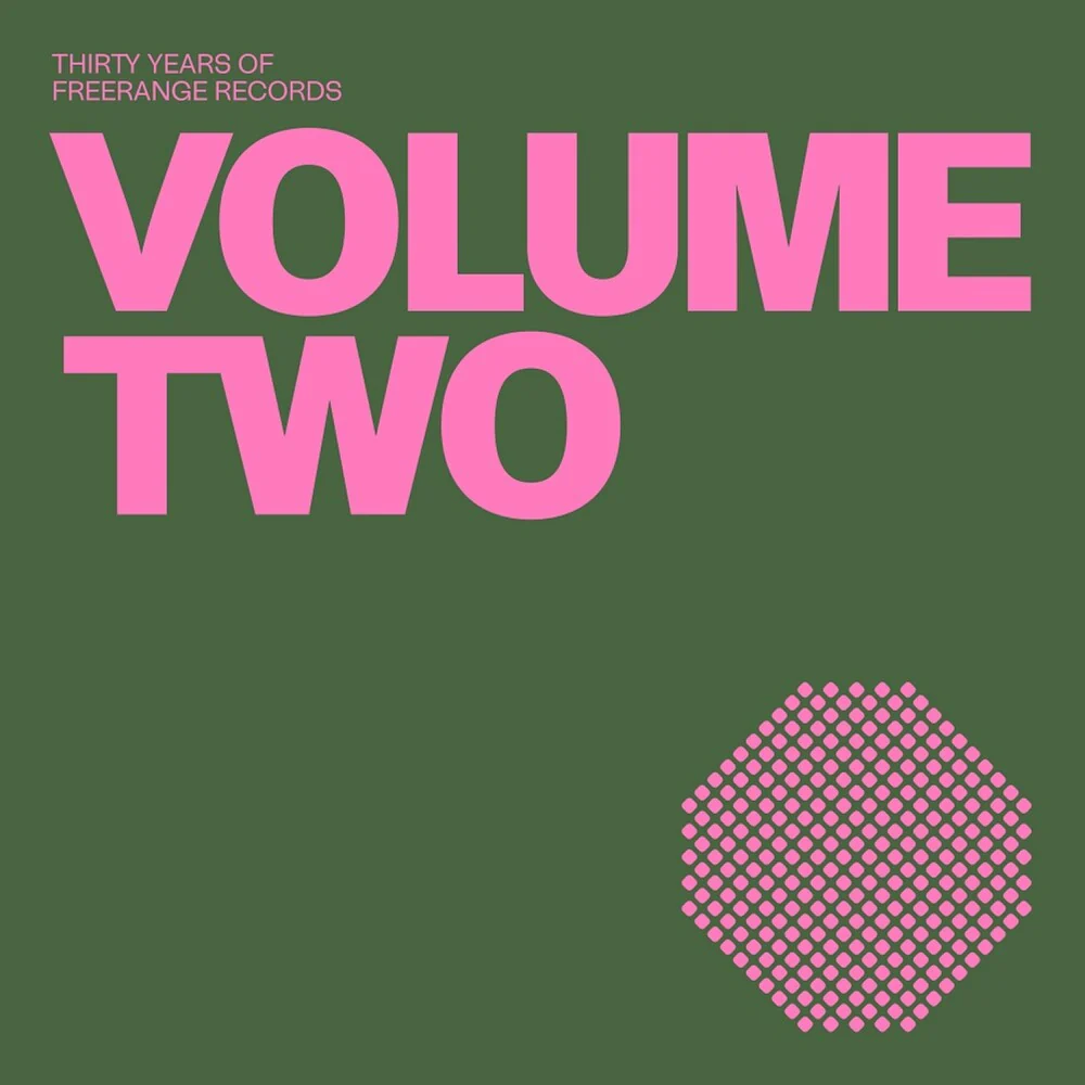 Pre-Order: 30 Years Of Freerange Records Vol. 2 / Various - 30 Years Of Freerange Records Vol. 2 / Various (12" Vinyl)