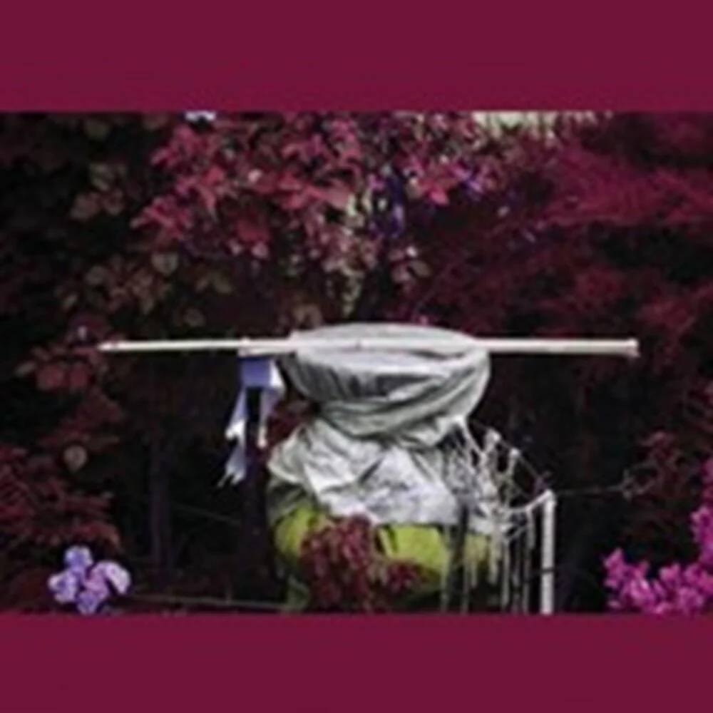 Pre-Order: Ava Mendoza - Alive Alone Alive Together (Limited Edition)
