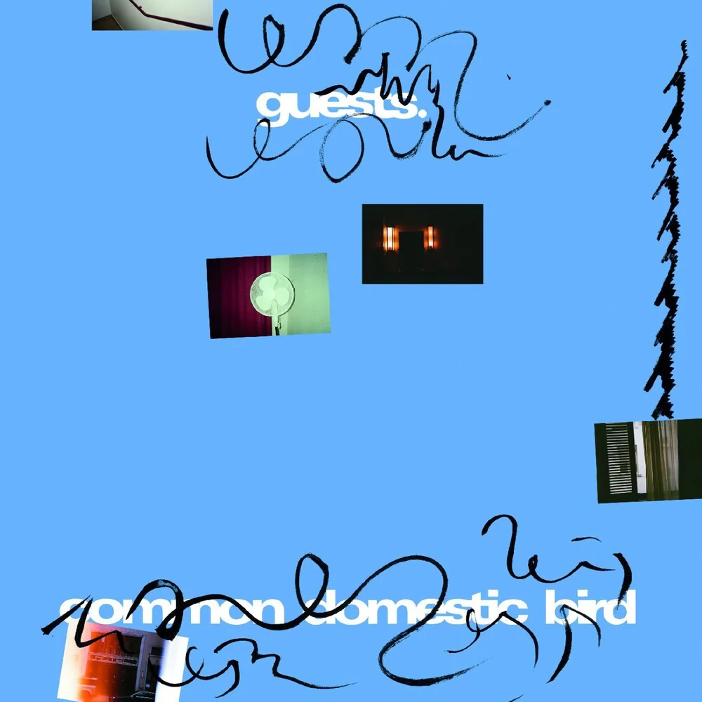 Pre-Order: Guests - Common Domestic Bird (LP)