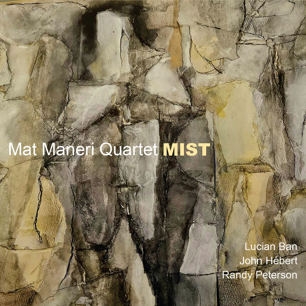 Pre-Order: Mat Maneri - Mist (CD)