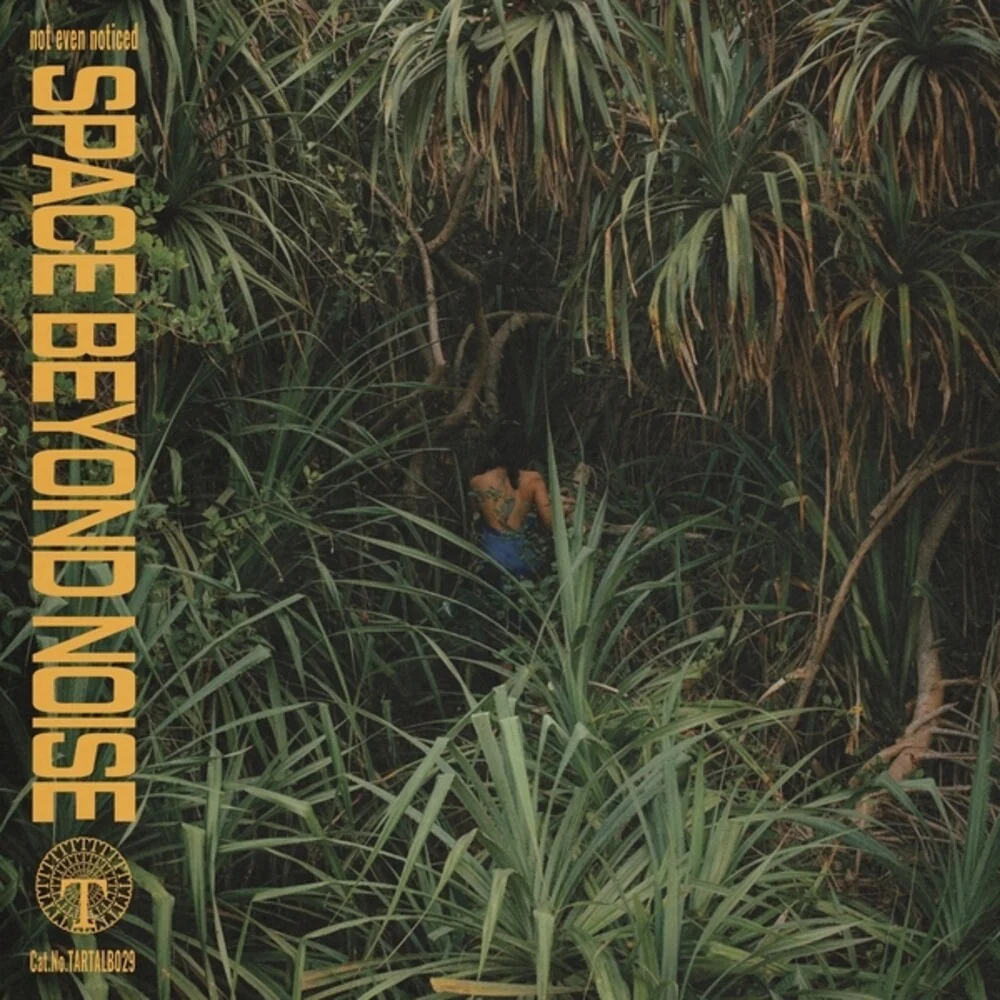 Pre-Order: not even noticed - Space Beyond Noise (LP)