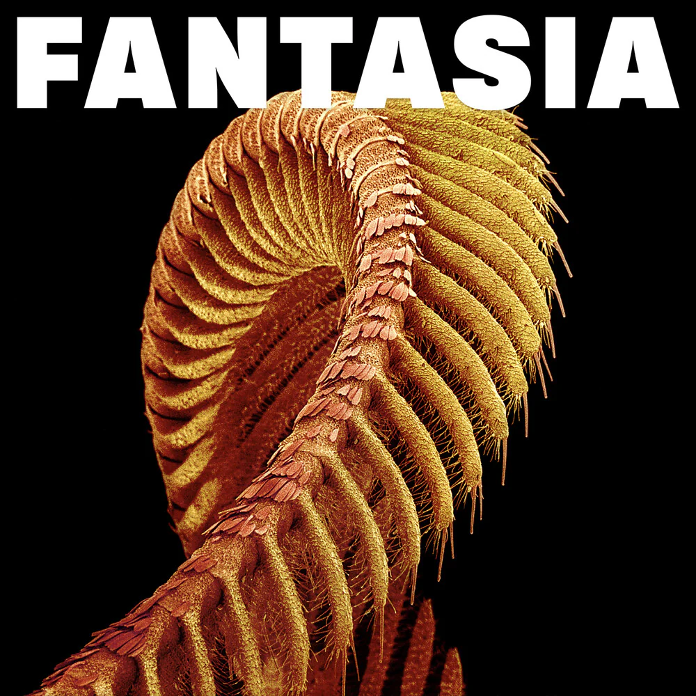 Pre-Order: SLIFT - Fantasia - Yellow (Colored Vinyl) (Ylw)
