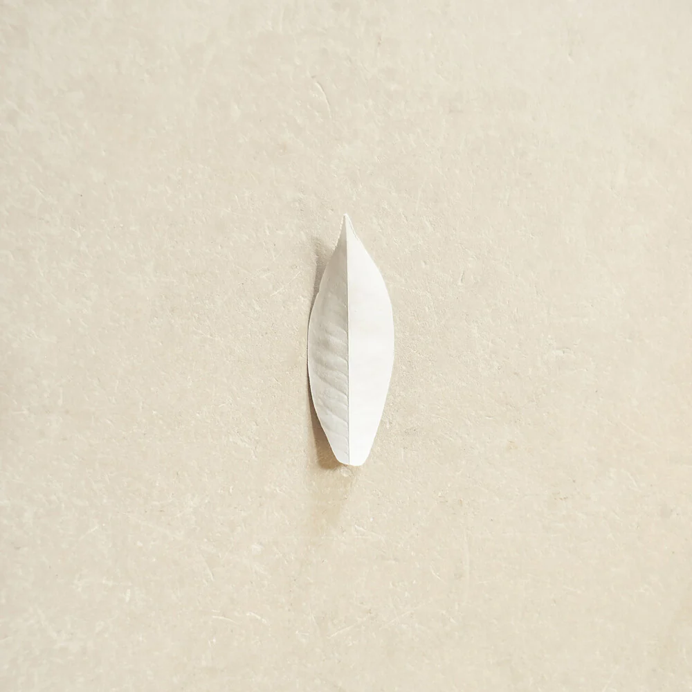 Pre-Order: Sylvain Chauveau - Complexity Of The Simple (LP)