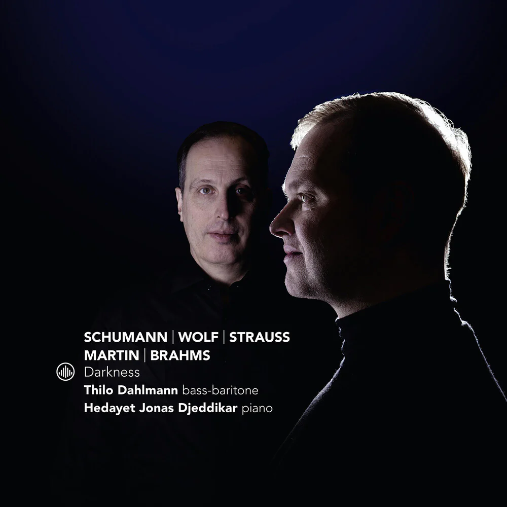 Thilo Dahlmann - Darkness (CD)