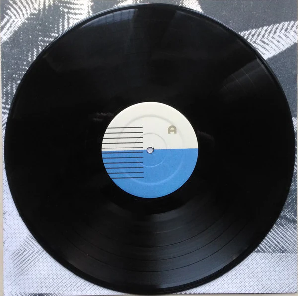 Preoccupations - Preoccupations (Vinyl) - Image 5