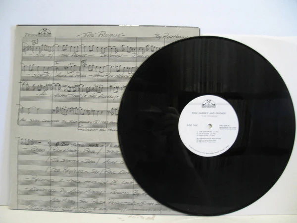Rich Harney & Friends - The Promise (Vinyl) - Image 3