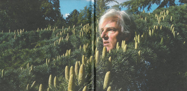 Robyn Hitchcock - Love From London (CD) - Image 2