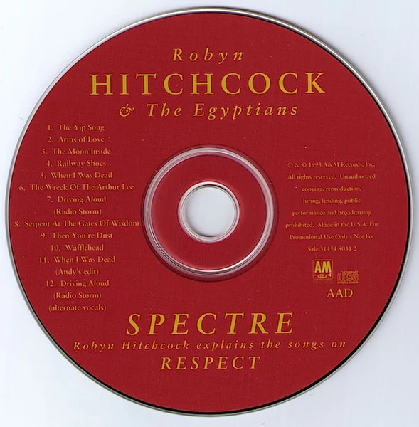 Robyn Hitchcock & The Egyptians - Spectre - Robyn Hitchcock Explains The Songs On "Respect" (CD) - Image 4