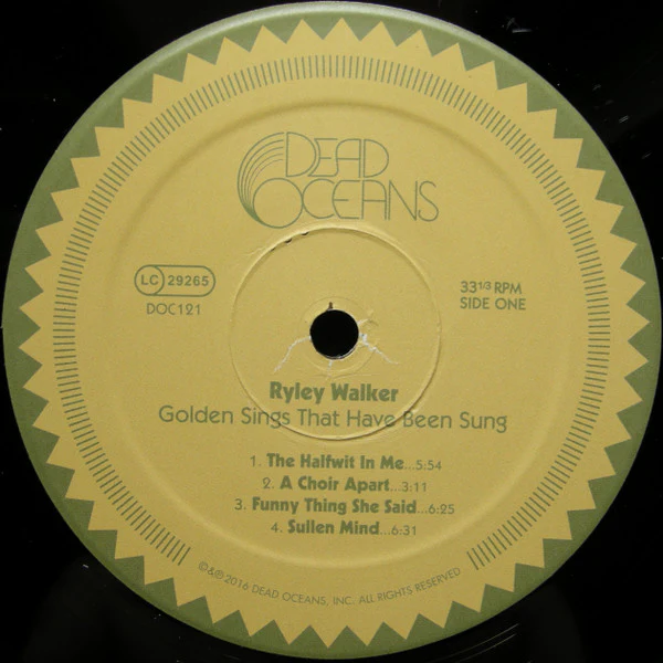Ryley Walker - Golden Sings That Have Been Sung (Vinyl) - Image 4