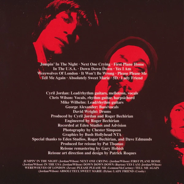 The Flamin' Groovies - Jumpin' In The Night (CD) - Image 3