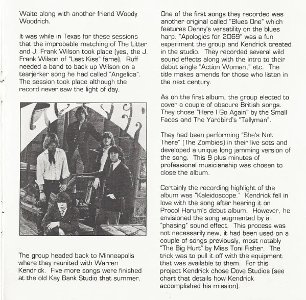 The Litter - $100 Fine (CD) - Image 3