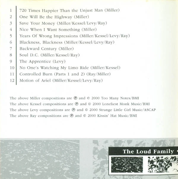 The Loud Family - Attractive Nuisance (CD) - Image 5