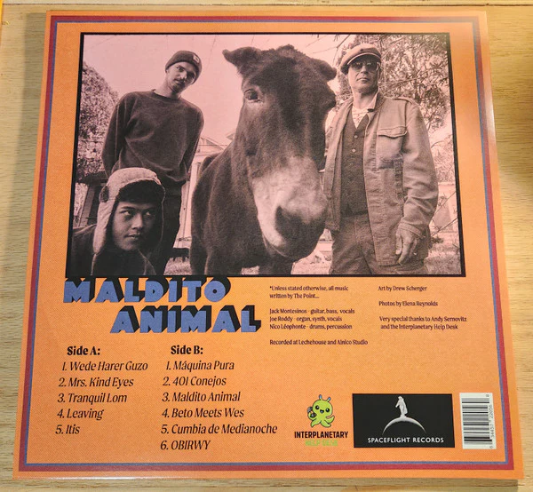 The Point  - Maldito Animal (Deluxe Album) (Vinyl) - Image 3