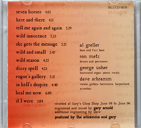The Schramms - Dizzy Spell (CD) - Image 3