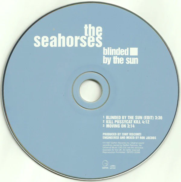 The Seahorses - Blinded By The Sun (CD) - Image 3