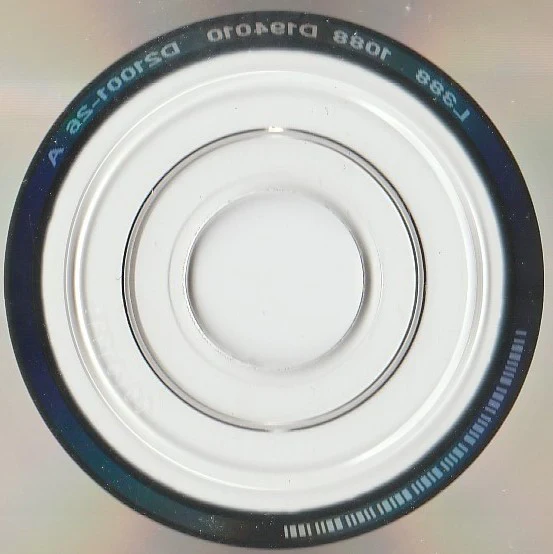 The Walkmen - Everyone Who Pretended To Like Me Is Gone (CD) - Image 4