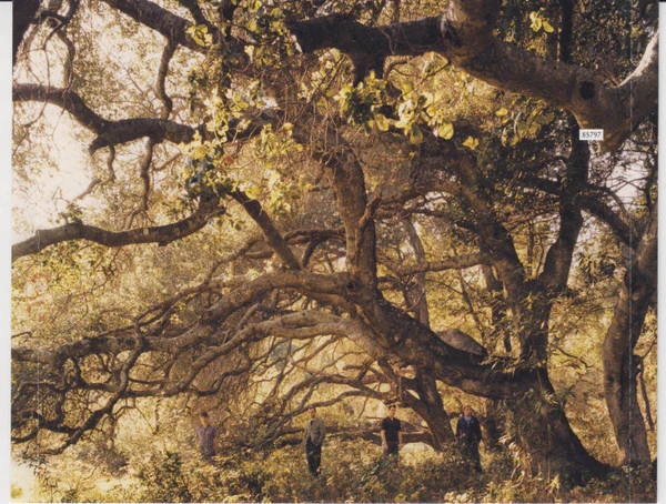 Travis - The Invisible Band (CD) - Image 4
