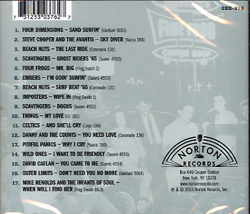Various - Sand Surfin' (Border Town Rock N' Roll 1964-67)  (CD) - Image 2